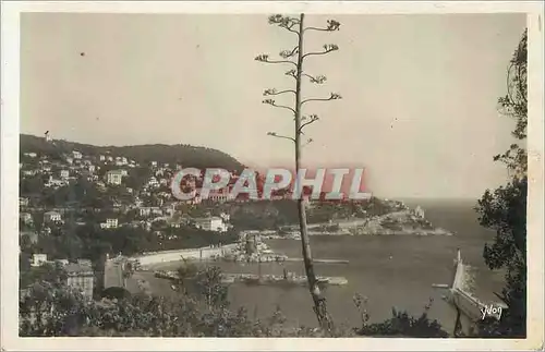 Cartes postales moderne Cote d Azur Nice L Entree du Port