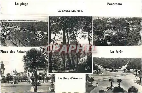 Cartes postales moderne La Baule les Pins La Plage Panorama La foret