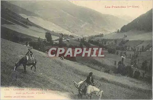 Cartes postales Luchon Les Pyrenees Travaux dans la Vallee d'Oueil Chevaux
