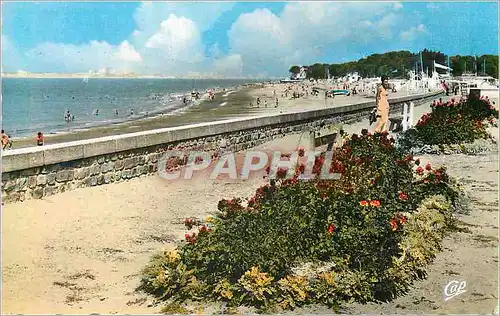 Cartes postales moderne Cote de Jade St Brevin La Plage et les Parterres