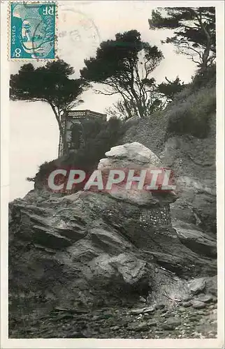 Cartes postales moderne La Bernerie (L Inf) Roche Grise