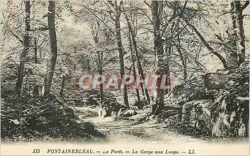 Ansichtskarte AK Fontainebleau La Foret La Gorge aux Loups