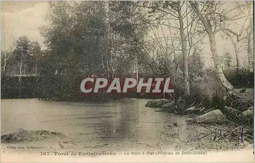 Ansichtskarte AK Foret de Fontainebleau La Mare a Piat (Plateau de Belle Croix)