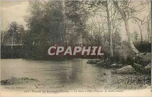 Cartes postales Foret de Fontainebleau La Mare a Piat (Plateau de Belle Croix)