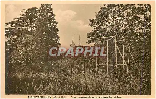 Cartes postales Montmorency (S et O) Vue Panoramique a Travers les Cedres