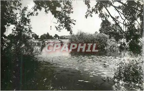 Cartes postales moderne Environs d'Arcy sur Cure Yonne