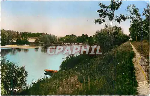 Cartes postales moderne Chatillon s Loire (Loiret) Bords de la Loire