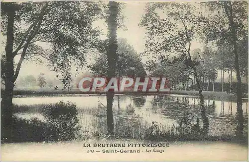 Cartes postales Saint Gerand La Bretagne Pittoresque Les Etangs