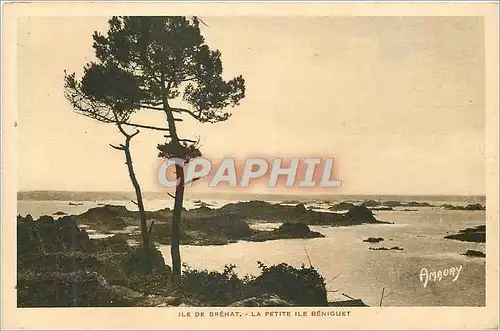 Cartes postales Ile de Brehat La Petite Ile Beniguet