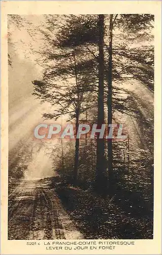 Ansichtskarte AK La Franche Comte Pittoresque Levr du Jour en Foret