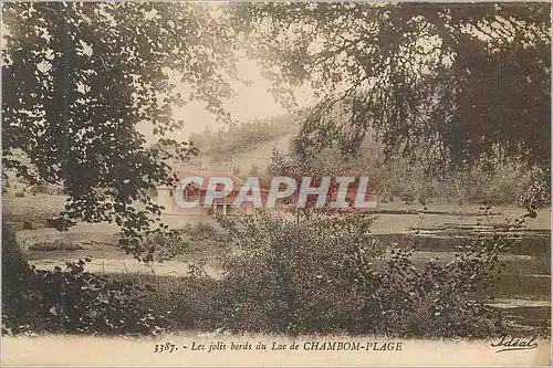 Ansichtskarte AK Les Jolis Bords du Lac de Chambom Plage