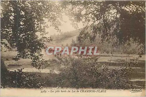Cartes postales Les Jolis Bords du Lac de Chambom Plage