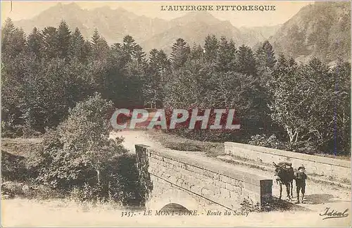 Ansichtskarte AK Le Mont Dore L'Auvergne Pittoresque Route du Sancy Ane Donkey