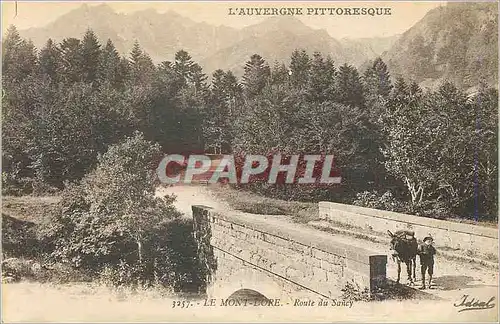 Cartes postales Le Mont Dore L'Auvergne Pittoresque Route du Sancy Ane Donkey