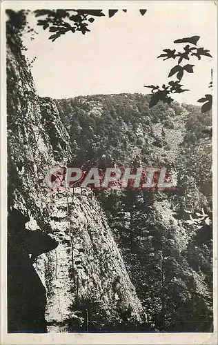 Cartes postales moderne La Schlucht (Alt 1159 m) Le Sentier des Roches