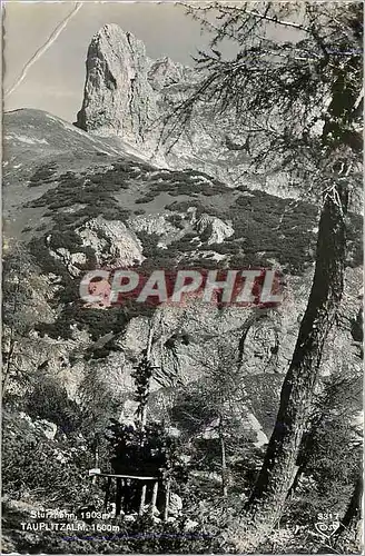 Cartes postales moderne Tauplitzalm 1600 m