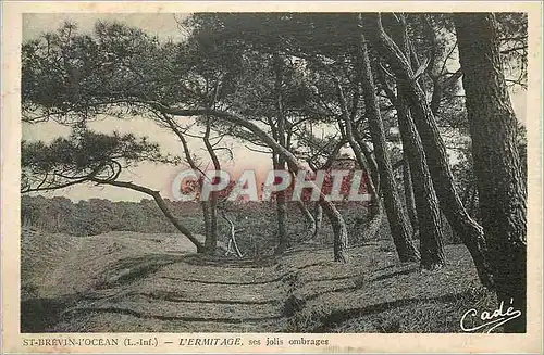 Ansichtskarte AK St Brevin l'Ocean (L Inf) l'Ermitage ses Jolis Ombrages les Belles Plages de l'Ocean la Cote de