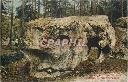 Ansichtskarte AK Fontainebleau l'Elephant (Gorges d'Apremont)