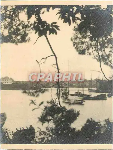 CARTE PHOTO Bateaux