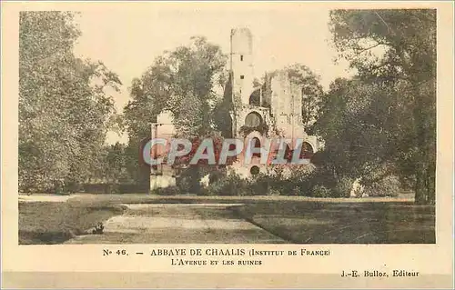 Cartes postales Abbaye de Chaalis (Institut de France) l'Avenue et les Ruines