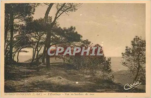 Ansichtskarte AK St Brevin l'ocean (L Inf) l'Ermitage Vue en Bordure de Mer