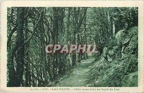 Cartes postales Lac Pavin Allee sous Bois au Bord du Lac
