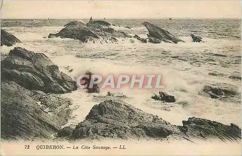 Ansichtskarte AK Quiberon la Cote Sauvage