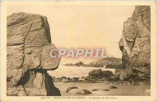 Ansichtskarte AK Saint Pierre Quiberon le Sphinx de Port Blanc