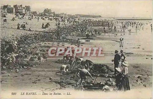 Cartes postales le Havre dans les Roches