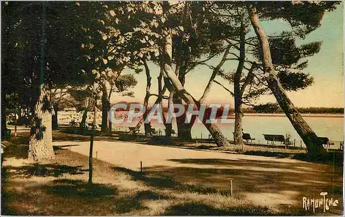 Cartes postales la Rochelle Mail Plage