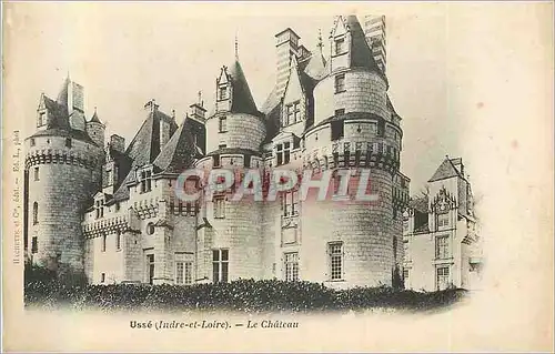 Cartes postales Usse (Indre et Loire) Le Chateau