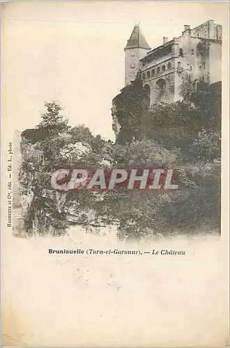 Cartes postales Burniauelle (Tarn et Garonne) Le Chateau