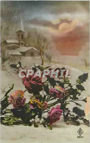 Cartes postales Bonne Annee