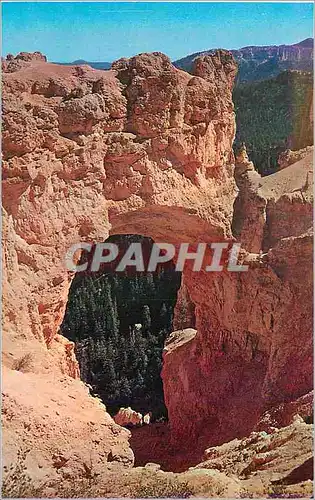Cartes postales moderne Utah Bryce Canyon Natinal Park Natural Bridge
