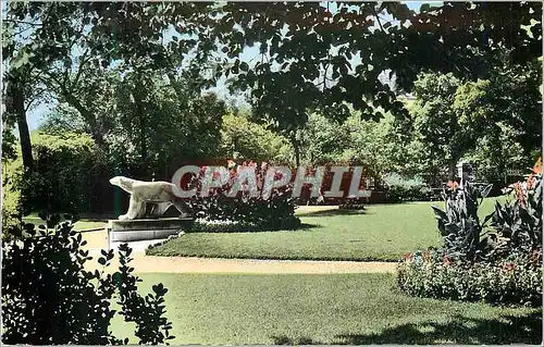 Cartes postales moderne Dijon (Cote d'or) Jardin Darcy Ours blanc