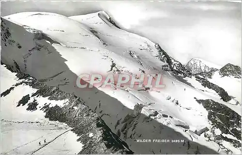Cartes postales moderne Wilder Freiger 3425 m