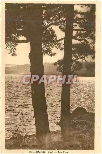Cartes postales St Tropez (Var) Les Pins