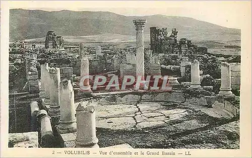 Cartes postales Volubilis Vue D'Ensemble et le Grand Bassin