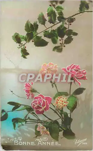 Cartes postales Bonne Annee