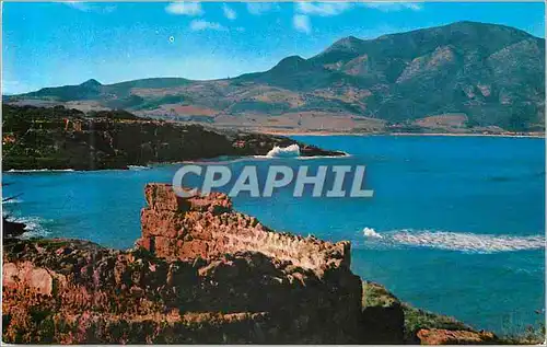 Cartes postales moderne Tipaza Au Fond Le Mont Chenoua