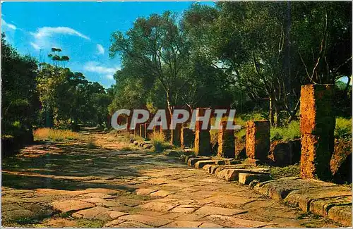 Cartes postales moderne Tipaza La Route Imperiale Alger Cherchell du II Siecle