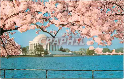 Moderne Karte Jefferson Memorial South Side of the Tidal Basin