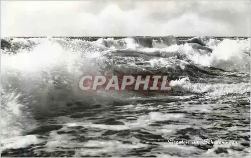 Cartes postales moderne Groeten Scheveningen