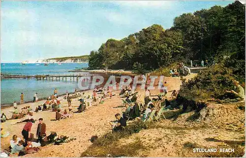 Cartes postales moderne Studland Beach
