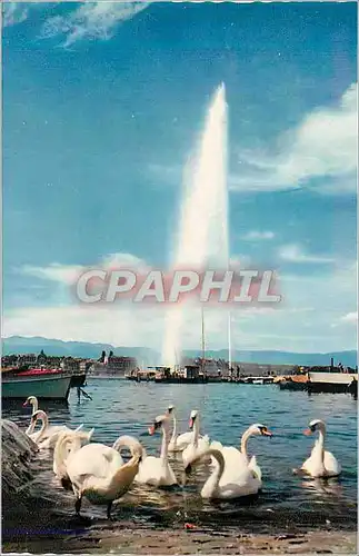 Moderne Karte Geneve Le Jet d'Eau (120 m) et Les Cygnes