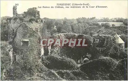 Cartes postales Tonquedec (Cotes du Nord) Les Ruines du Chateau vue Interieure de la Cour d'Honneur