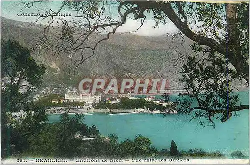 Cartes postales Beaulieu Environs de Nice Vue Entre Les Oliviers