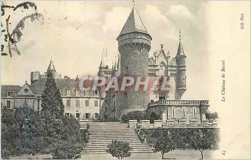 Cartes postales Le Chateau de Busset