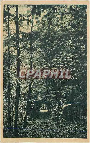 Cartes postales Bonnemain (Ille et Vilaine) Maison de Plein air