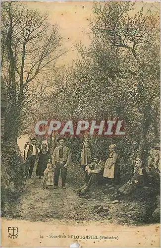 Cartes postales Sous Bois a Plougastel (Finistere) Folklore
